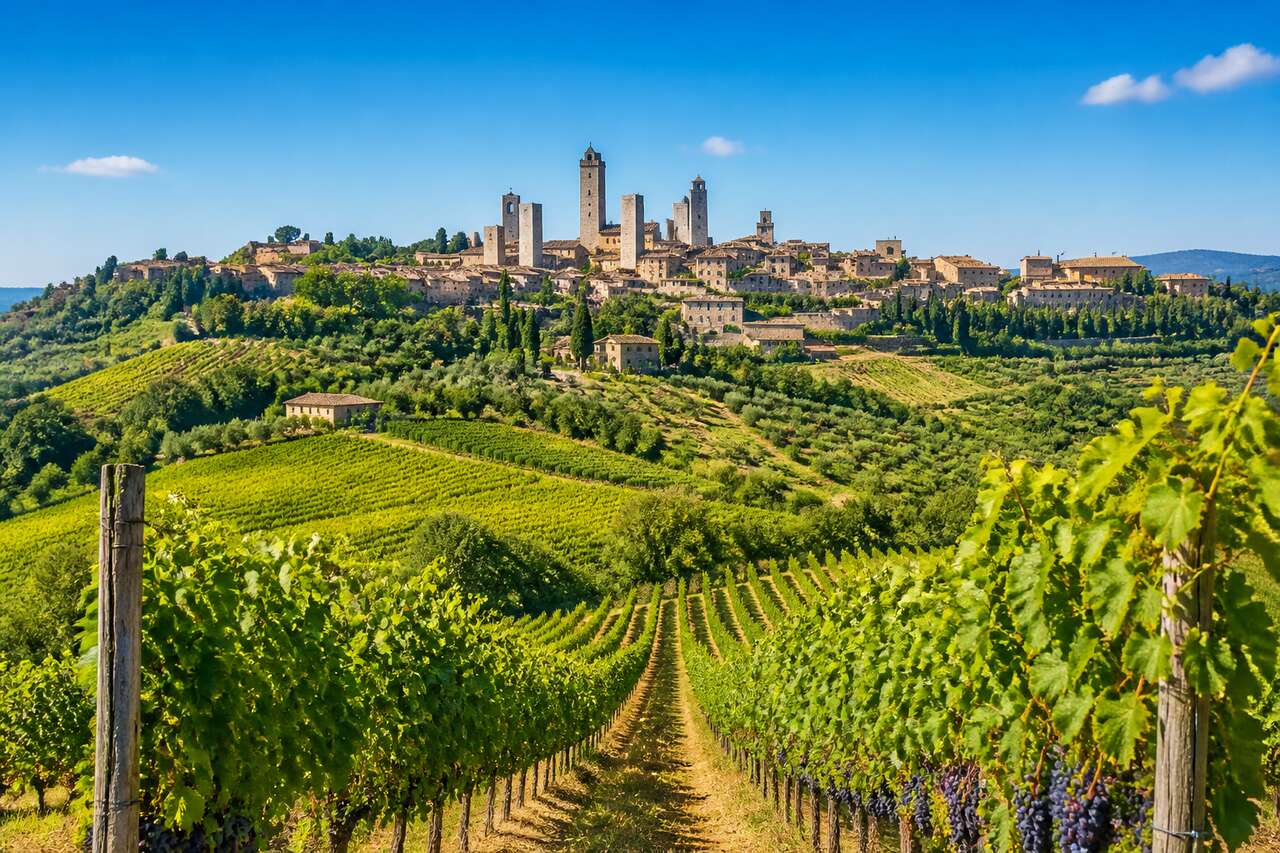 Les vins du centre de l'Italie : trésors œnologiques à découvrir